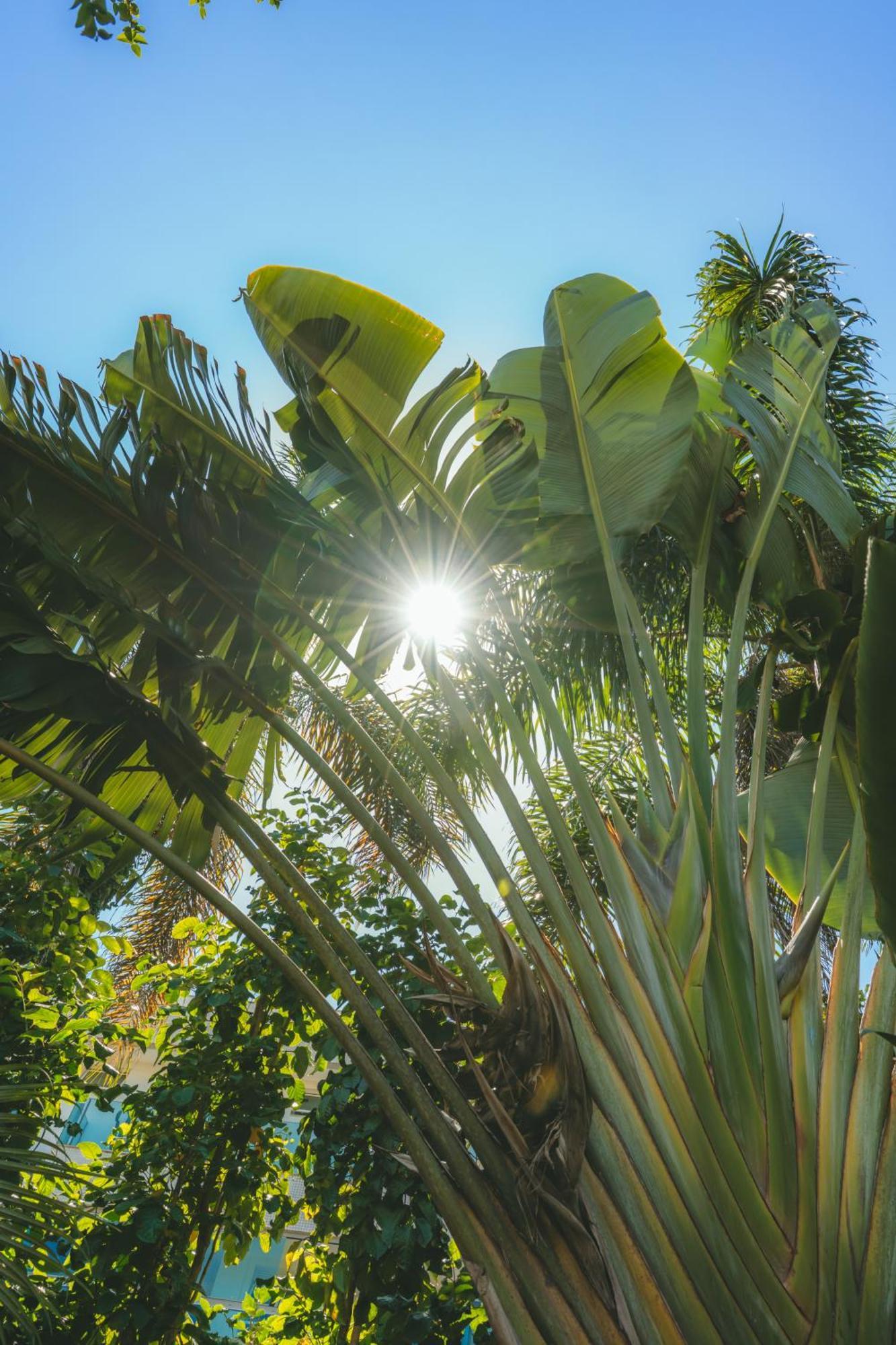 Pousada Vila Tamarindo Eco Lodge Флорианополис Экстерьер фото